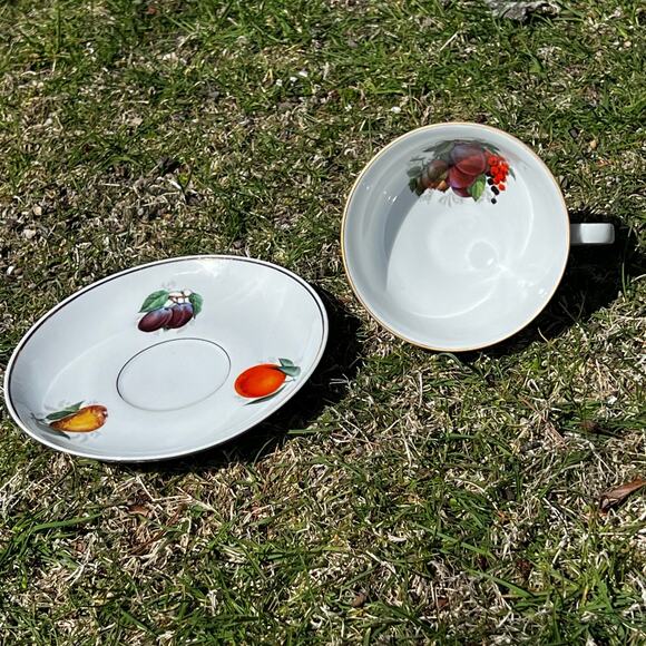 Vintage Fuit Teacup and saucer - Picture 4 of 8